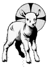 LambSmallgrey 3 LambSmallgrey 3