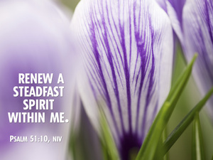 crocus_8173c 2