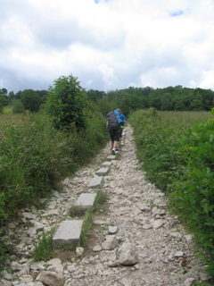Pilgrim-trail