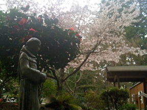 Spring 2010 (2)