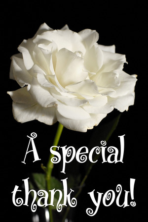 whiterose_4720c